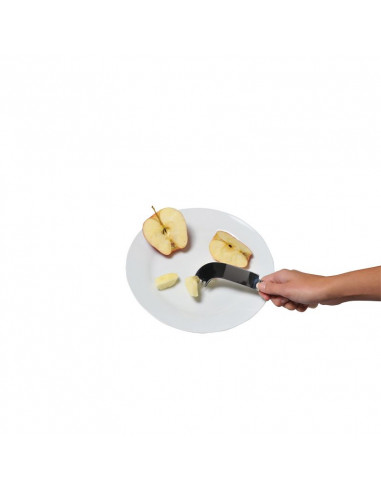 COUTEAU FOURCHETTE NELSON