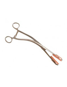 MORS CAOUTCHOUC FOR YOUNG...