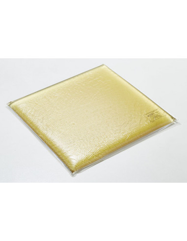 COUSSIN GEL PILOTE