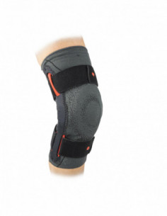 GENOUILLÈRE ROTULIENNE...